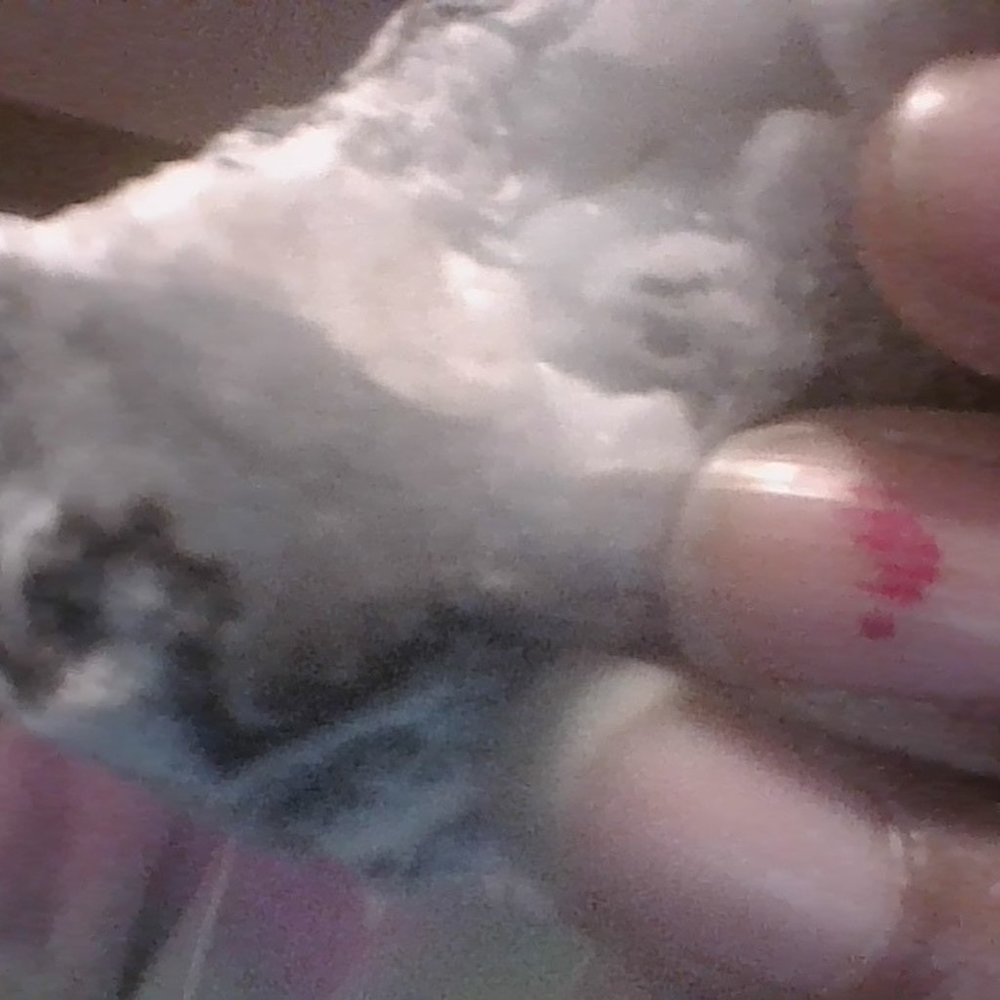 geodes - Picture 9 of 13